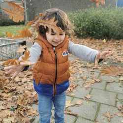 44848bd7-a64f-4f58-a7f3-4e84abe55798