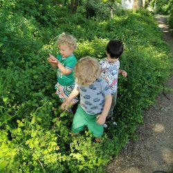 bb3051db-3580-421f-97b4-fcb3da9e2c27