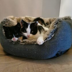 f190c485-8108-4efb-b434-28524e92fe9f